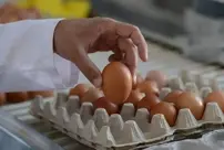 In a short time, the price increase of eggs surpassed the inflation rate.