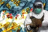 In 2005, it was Turkey's nightmare! The first human death from bird flu occurred.