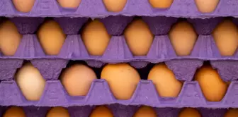 The U.S. Secretary of Agriculture responded to criticisms regarding the egg crisis in the country with a statement about 