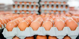 В Германии продажа коричневых яиц была ограничена.