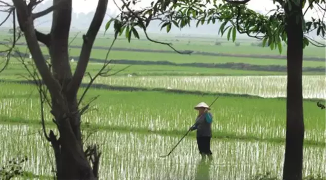North Korea Looks To Vietnam For Inspiration
