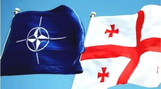 U.S. Senators Propose To Accept Georgia Into NATO