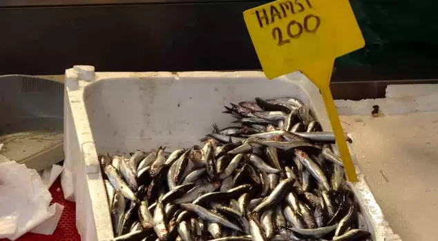 The fish stalls were decorated: After the bonito, the anchovy took its place.