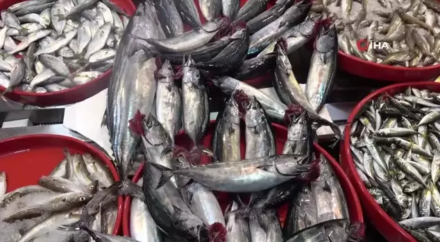 Fishermen are concerned about not being able to catch enough anchovies in the Black Sea.