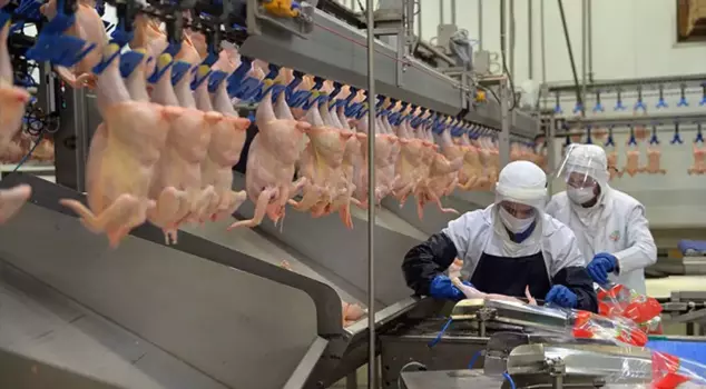 The competition investigation in the white meat sector has been expanded.