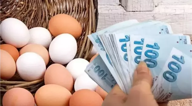 YUM-BİR President: The increase in egg prices is due to perceptions and market differences.