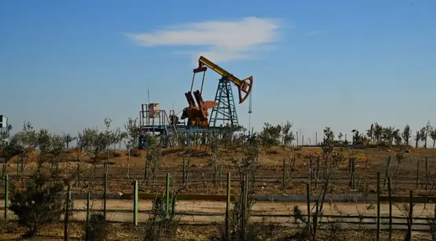 A petroleum exploration license has been granted in Erzincan.