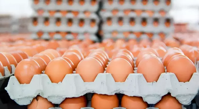 The sale of brown eggs has been restricted in Germany.