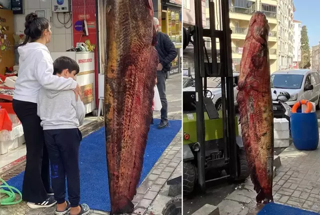 Dükkanın önüne asılan 3 metrelik balığı görenler telefona sarıldı