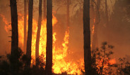 Karabük'te Çıkan Yangın Büyüyor