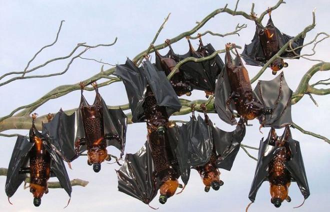 Plastik Şişeyle Yapılan Birbirinden Yaratıcı 24 Fikir!