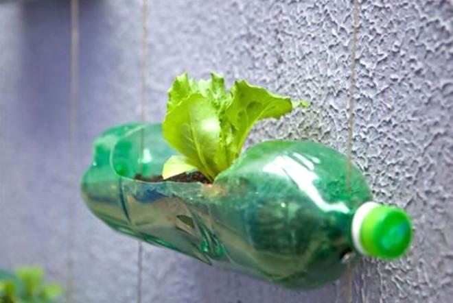 Plastik Şişeyle Yapılan Birbirinden Yaratıcı 24 Fikir!