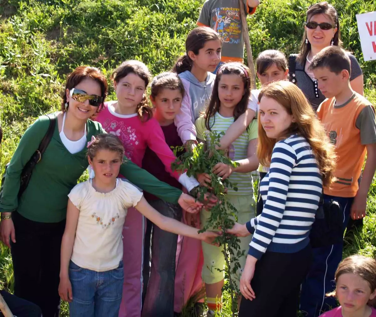 Renciler Saros K Rfezine Fidan Dikti Haberler