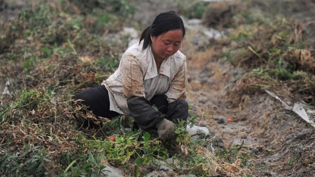 Soil Pollution Is A 'Severe Problem' In China