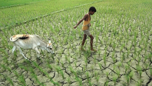 Climate Change To 'Severely Impact' Growth In South Asia