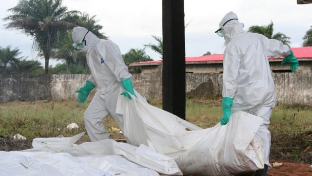 Germany To Provide Logistical Help To Ebola-Hit Liberia