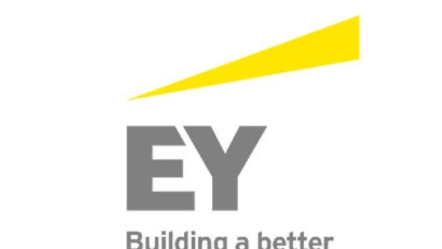 2014 Marks 20Th Anniversary Of Creation Of EY Company