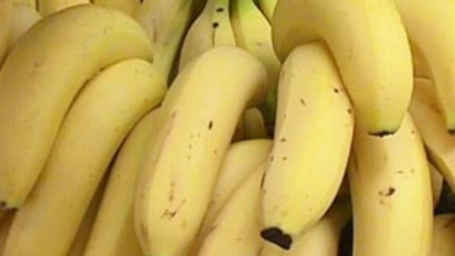 Вирус лихорадки Эбола не может проникнуть в Азербайджан с импортируемыми бананами - минздрав