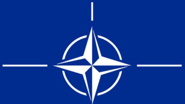 Эксперт НАТО посетил базу подготовки и реагирования МВД Грузии по чрезвычайным ситуациям