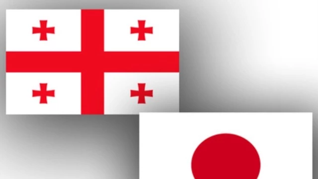 Грузия и Япония договорились об углублении межпарламентского сотрудничества