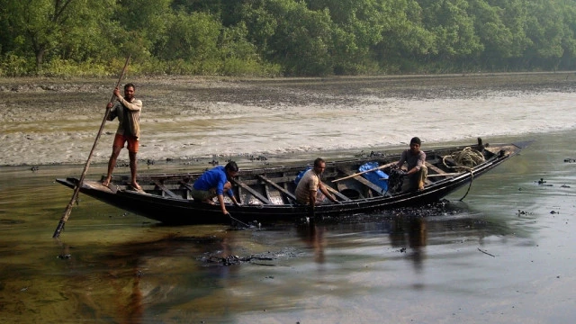 Bangladesh's Response To Sundarbans Oil Spill Slammed