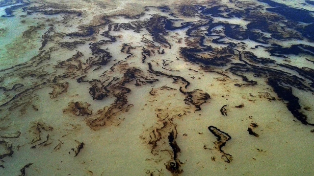 Cleanup Begins After Bangladesh Oil Spill