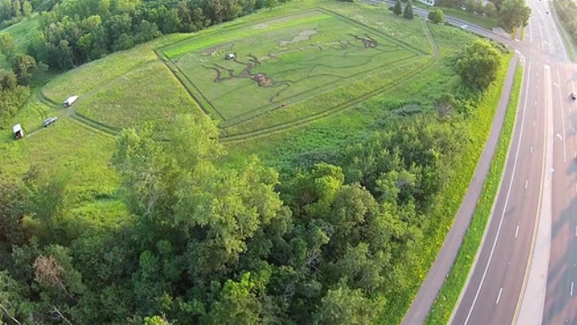 American Artist Stan Herd Renders Van Gogh's 'Olive Trees' On Farm In Minnesota
