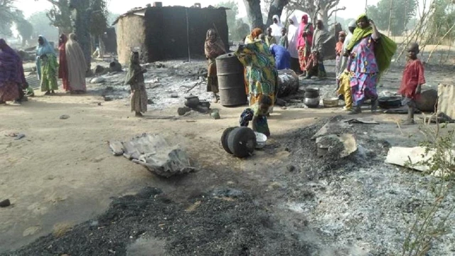 Nijerya'da Kahraman Köpek Canlı Bombanın Üstüne Atlayarak Katliamı Önledi