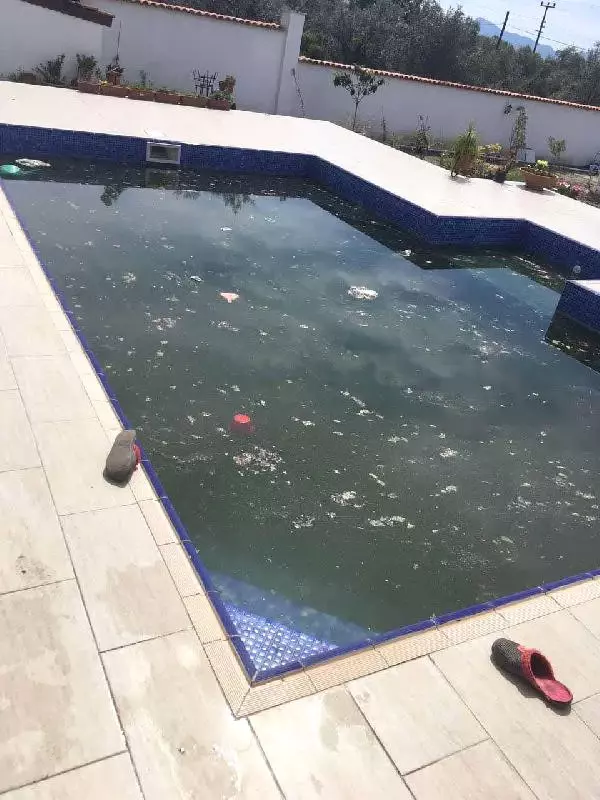 Havuza Düşen Minik Enis'in İki Kez Kalbi Durdu