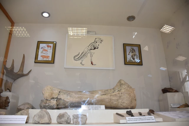تركيا.. إقبال على مشاهدة عظمة لديناصور عمره 40 مليون سنة