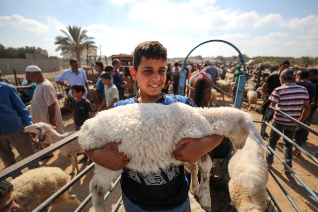 غزة.. الأضاحي تشكو تردي الأوضاع الاقتصادية