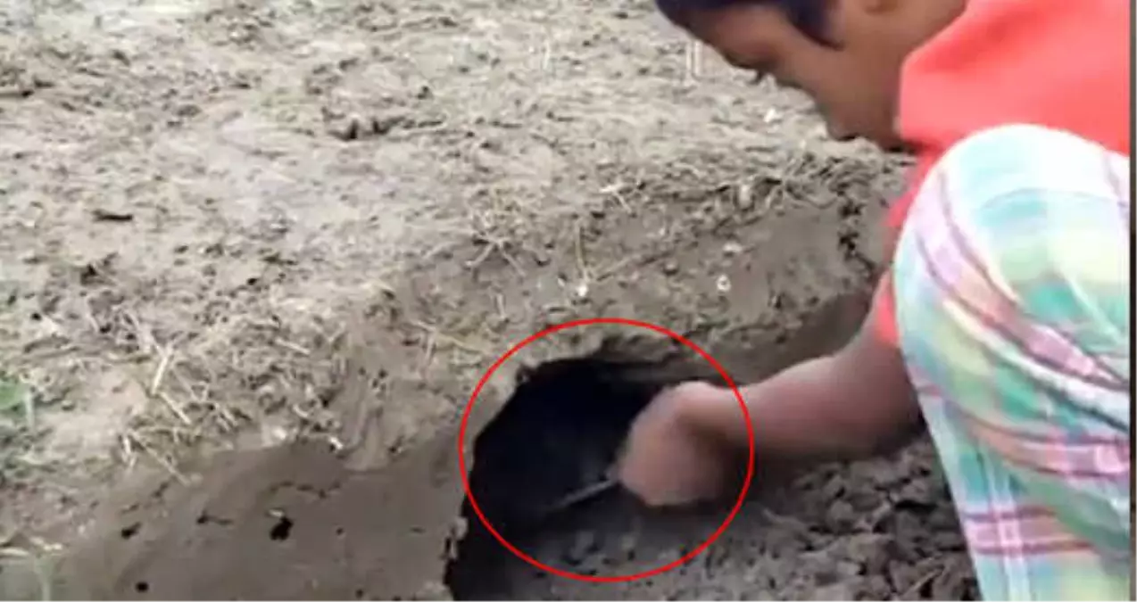 Doğada Çocukların Yumurta Pişirme Taktiği Görenleri Hayran Bırakıyor Doğada Çocukların Yumurta Pişirme Taktiği Görenleri Hayran Bırakıyor