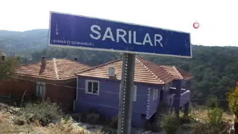 Burhaniye de Kuduz Karantinası