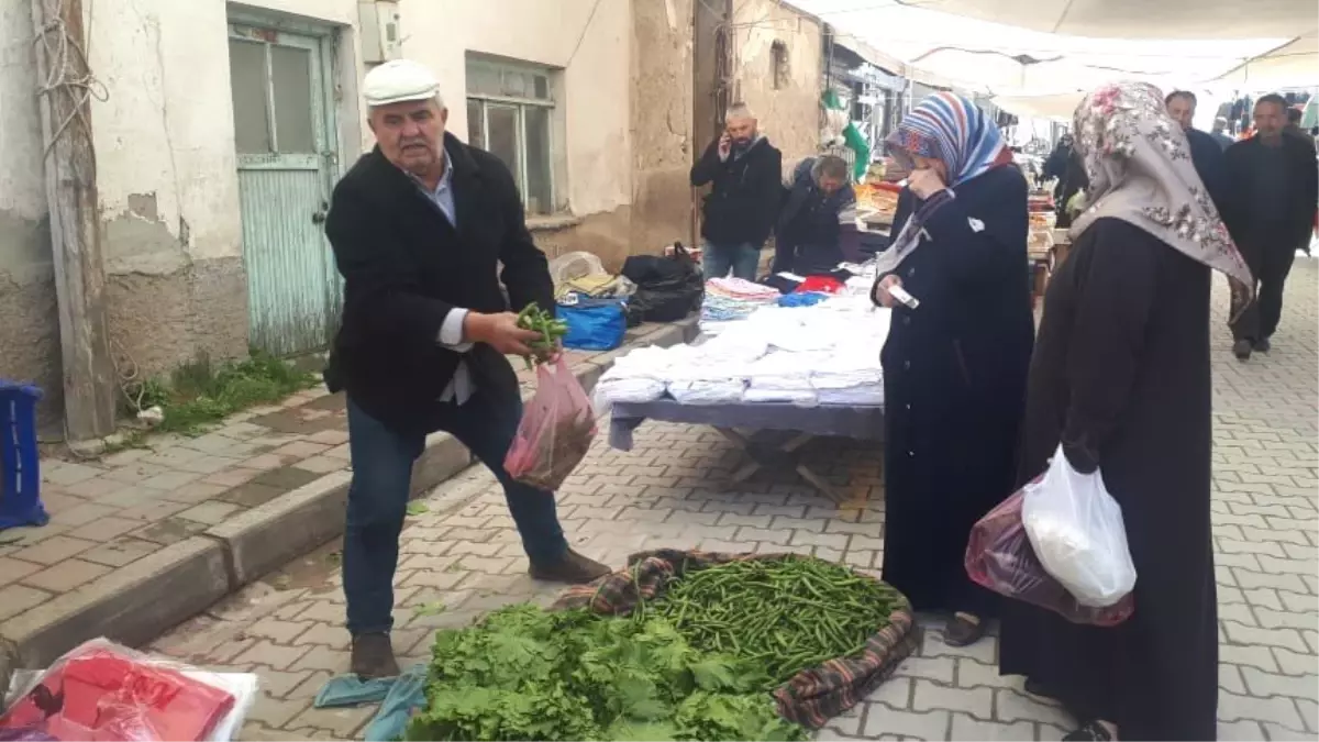 Görenler Şaşkınlık Yaşıyor! Yaprağı Meyvesinden Pahalı Görenler Şaşkınlık Yaşıyor! Yaprağı Meyvesinden Pahalı