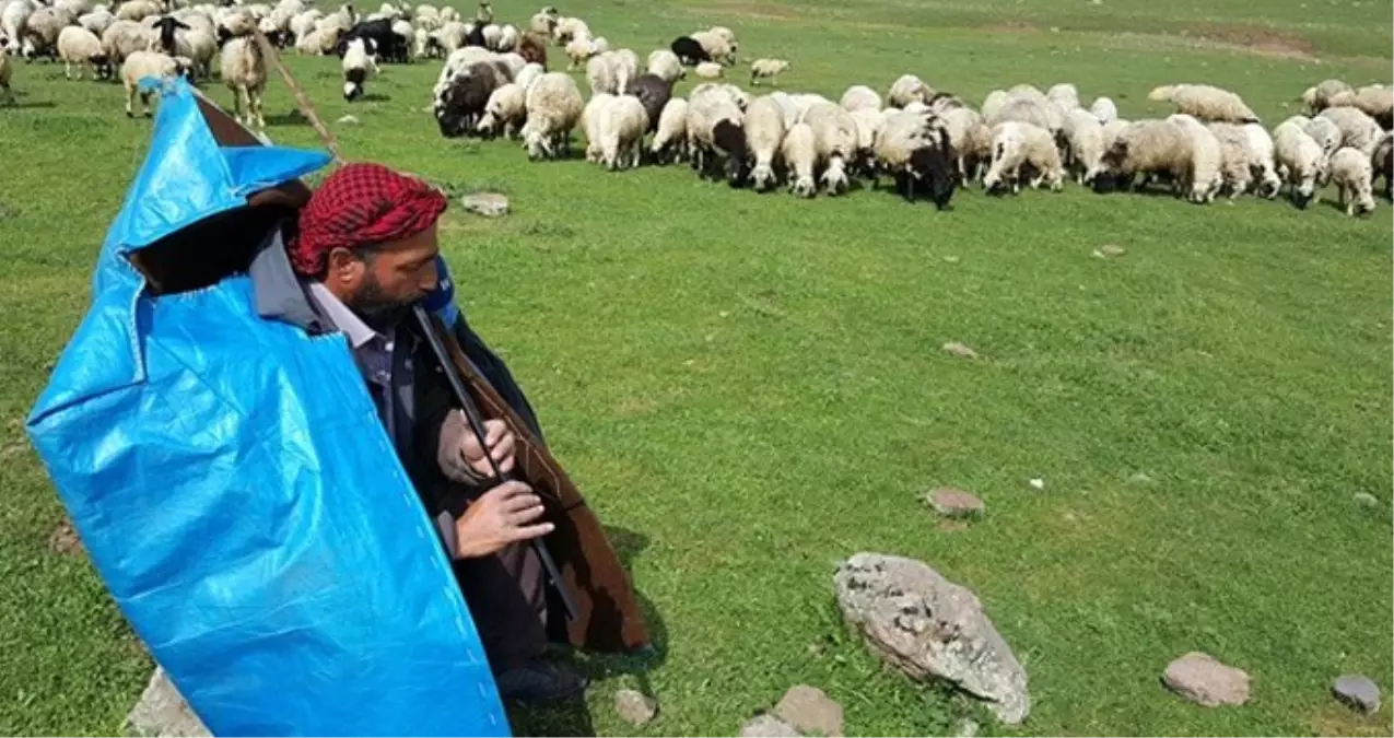 5 Bin Lira Aylıkla Çalışacak Çoban Bulamıyorlar 5 Bin Lira Aylıkla Çalışacak Çoban Bulamıyorlar
