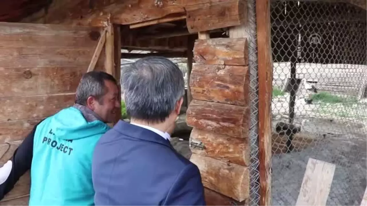 Tayvan Orkideleri Burdur'da Tayvan Orkideleri Burdur'da