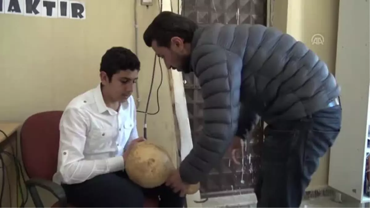 Su Kabakları Süs Eşyasına Dönüşüyor Su Kabakları Süs Eşyasına Dönüşüyor