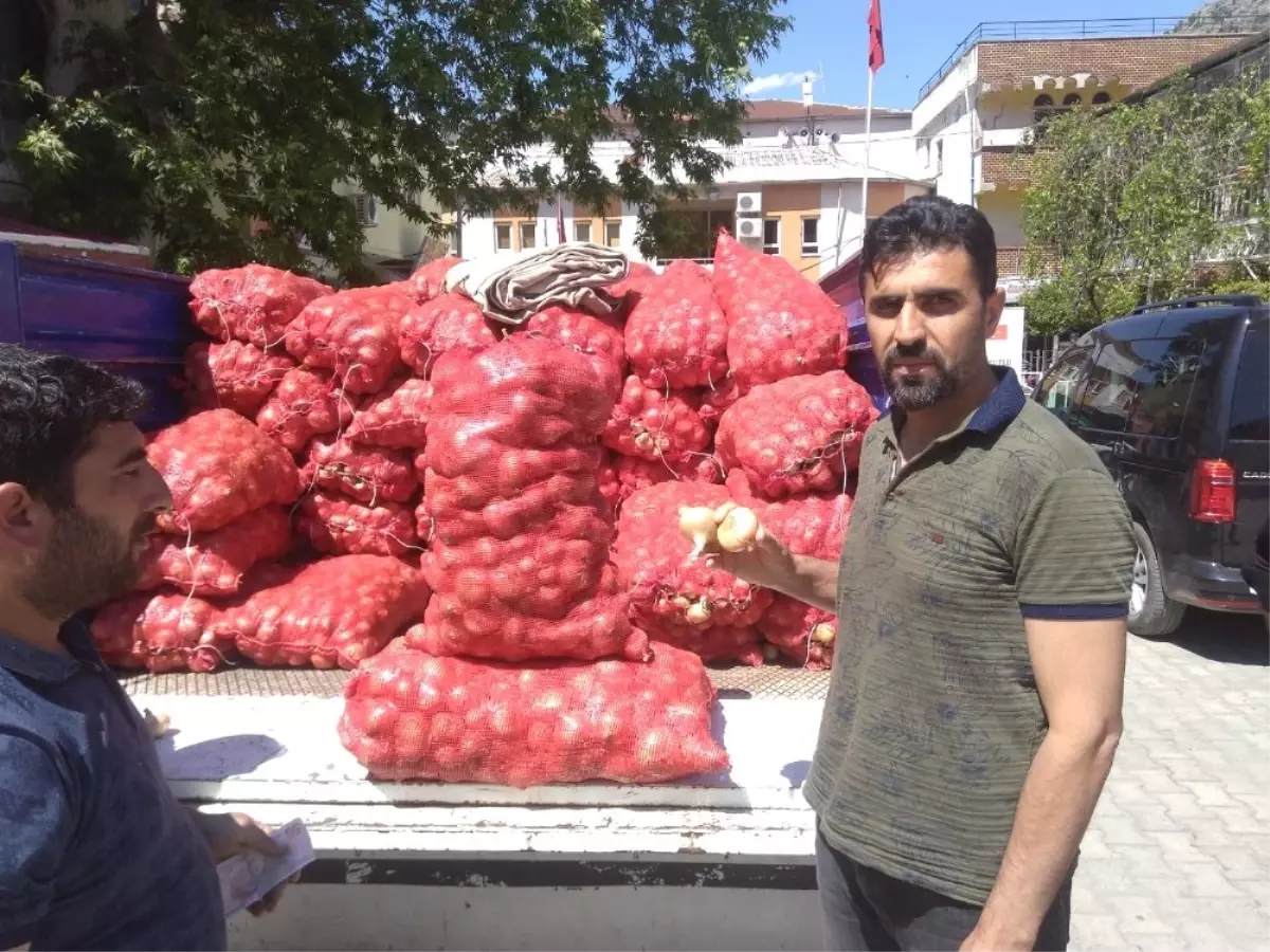 Soğanın Kilogramı 9 Liradan 1 Liraya Düştü Soğanın Kilogramı 9 Liradan 1 Liraya Düştü
