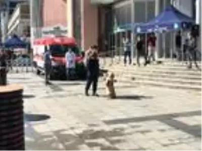 Jandarma köpeklerinin gösterisi ilgiyle izlendi Jandarma köpeklerinin gösterisi ilgiyle izlendi