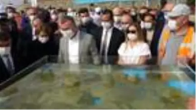 İzmit Körfezi'ne 5 bin balık bırakıldı İzmit Körfezi'ne 5 bin balık bırakıldı