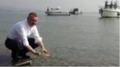 İzmit Körfezi'ne 5 bin balık bırakıldı İzmit Körfezi'ne 5 bin balık bırakıldı