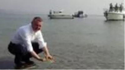 İzmit Körfezi'ne 5 bin balık bırakıldı İzmit Körfezi'ne 5 bin balık bırakıldı