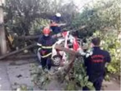 Kamyonetin kasası kablolara takılınca direk ve ağaç otomobilin üzerine devrildi Kamyonetin kasası kablolara takılınca direk ve ağaç otomobilin üzerine devrildi