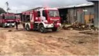 Son dakika haberi | Kocaeli'de ahşap palet fabrikasında yangın Son dakika haberi | Kocaeli'de ahşap palet fabrikasında yangın