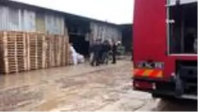 Son dakika haberi | Kocaeli'de ahşap palet fabrikasında yangın Son dakika haberi | Kocaeli'de ahşap palet fabrikasında yangın