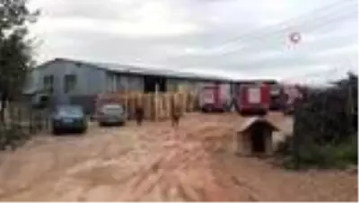 Son dakika haberi | Kocaeli'de ahşap palet fabrikasında yangın Son dakika haberi | Kocaeli'de ahşap palet fabrikasında yangın