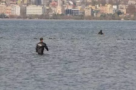 Son dakika: Kaçak midye avcılarını dalgıç polisler, denizdeki kovalamaca ile yakaladı Son dakika: Kaçak midye avcılarını dalgıç polisler, denizdeki kovalamaca ile yakaladı