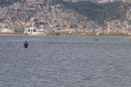 Son dakika: Kaçak midye avcılarını dalgıç polisler, denizdeki kovalamaca ile yakaladı Son dakika: Kaçak midye avcılarını dalgıç polisler, denizdeki kovalamaca ile yakaladı