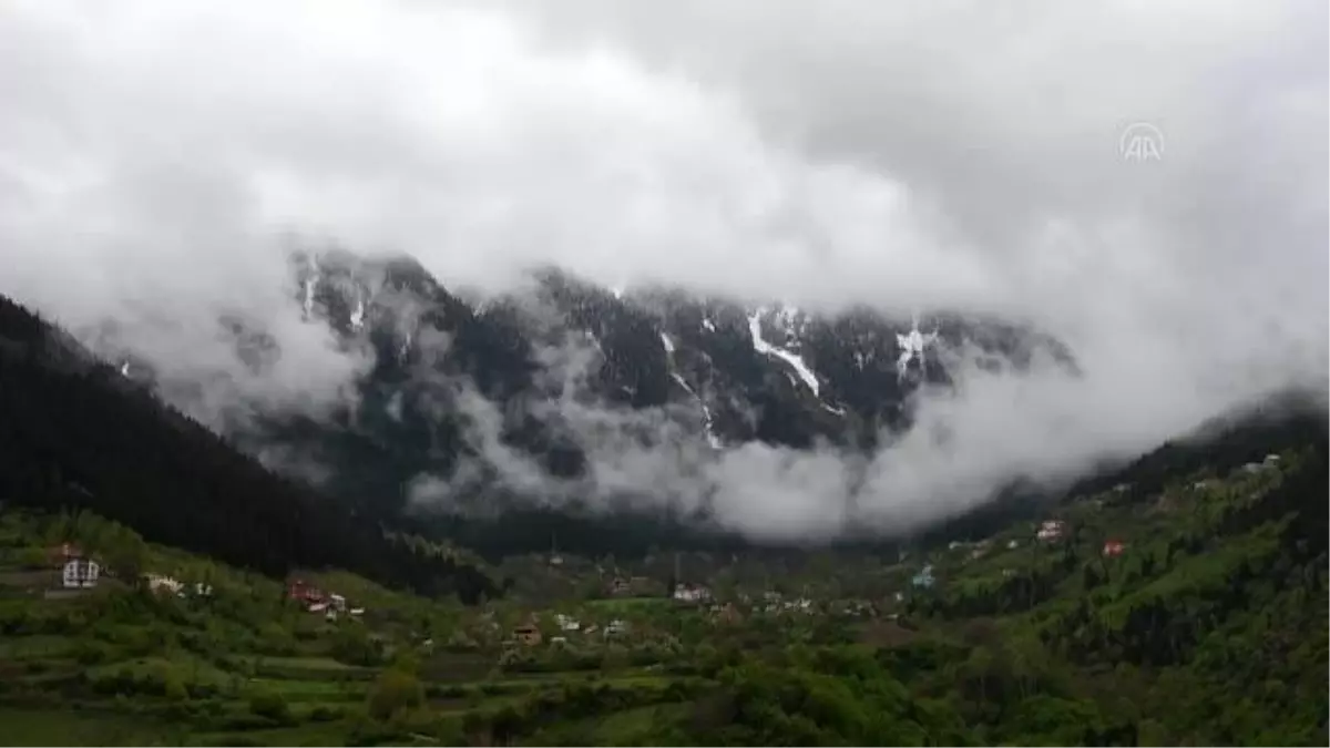 GÜMÜŞHANE Beyaz örtüyle kaplanan Limni Gölü Tabiat Parkı ziyaretçi