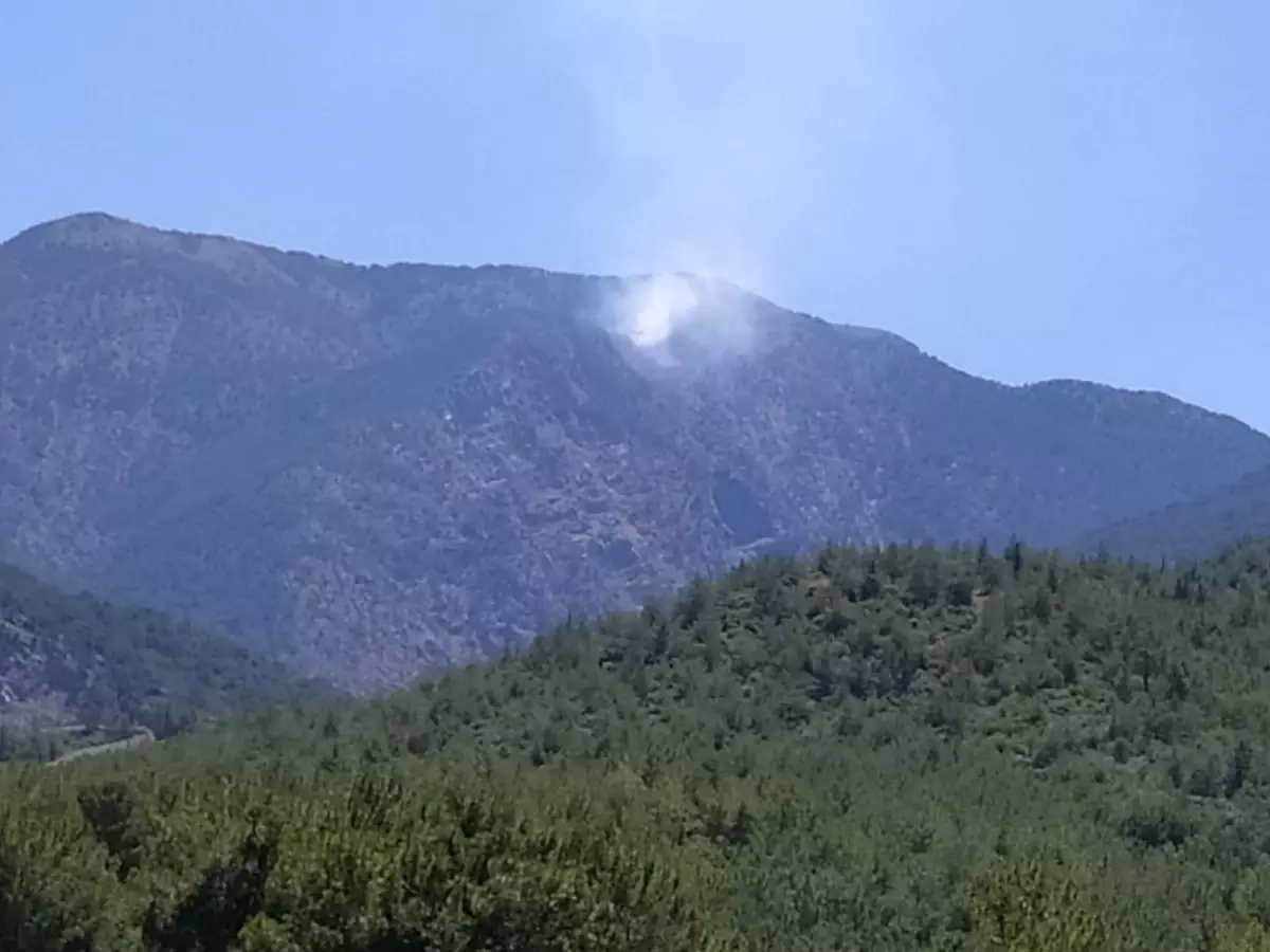 Hatay Da Ormanl K Alanda Kan Yang Na M Dahale Ediliyor Haberler